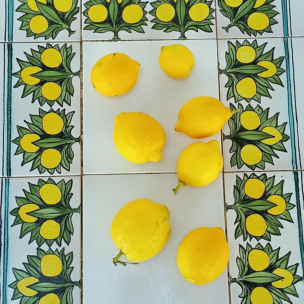 Tropea: Zitronen-Erlebnis mit Limoncello-Herstellung