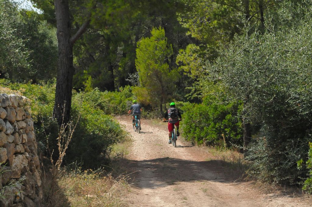 Vieste: Geführte E-MTB-Tour durch den Foresta Umbra & den Gargano