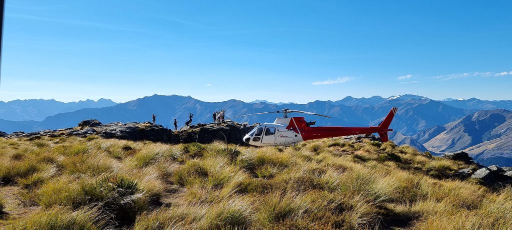 Queenstown: Alpiner Heliflug mit Aussicht