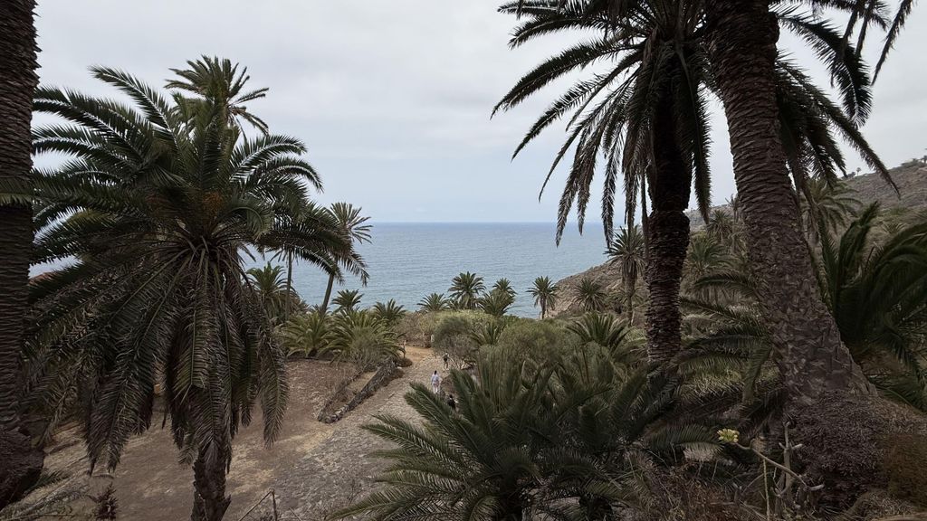 Geführte Tour: Botanische Geheimnisse des Nordens von Teneriffa zwischen Meer und Gärten