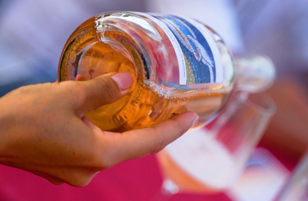 Weingutbesuch mit Wein- und Lebensmittelverkostung in der Nähe von Ravenna