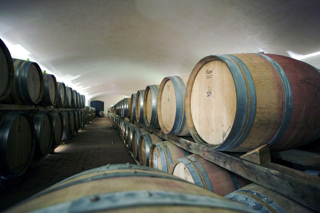 Il Molino di Grace: Tour durch den Weinberg und den Weinkeller mit Weinverkostung