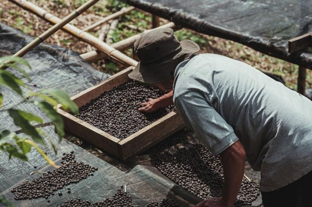 Monteverde: Kaffee-, Zuckerrohr- und Schokoladentour