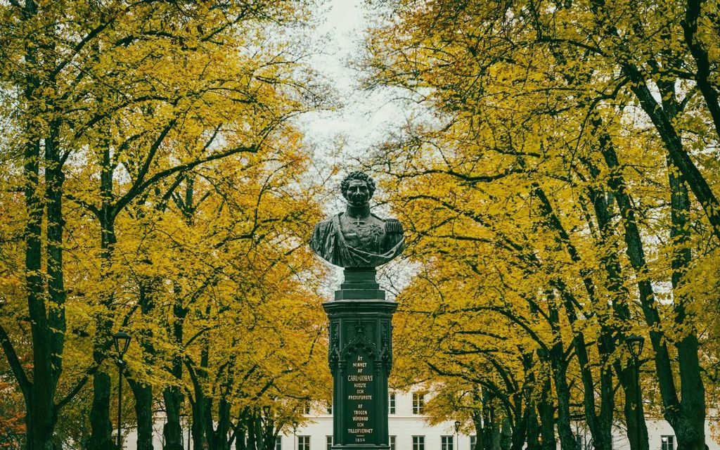 Stockholm: Uppsala Halbtägige Tour durch das schwedische Oxford & Kathedrale