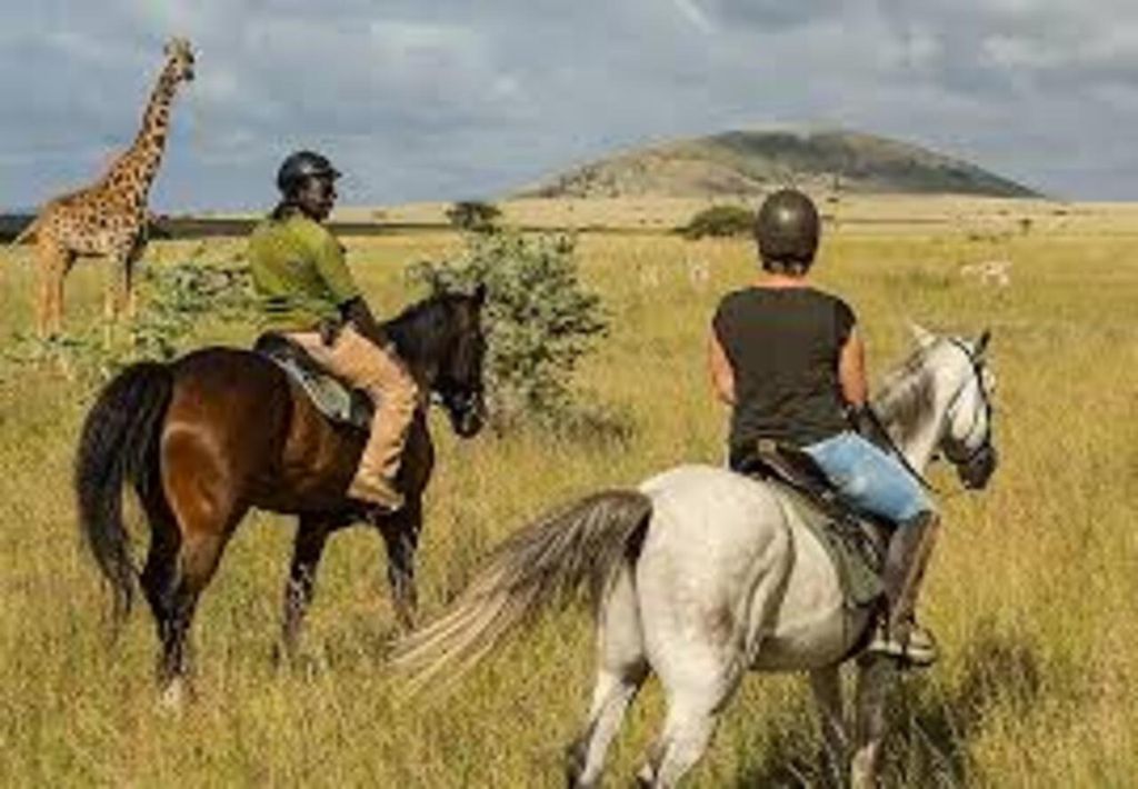 Makueni: Chyulu Hills Panoramafahrt & Reitausflug