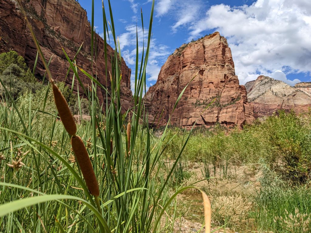 Von Las Vegas aus: Kleingruppenabenteuer im Zion National Park