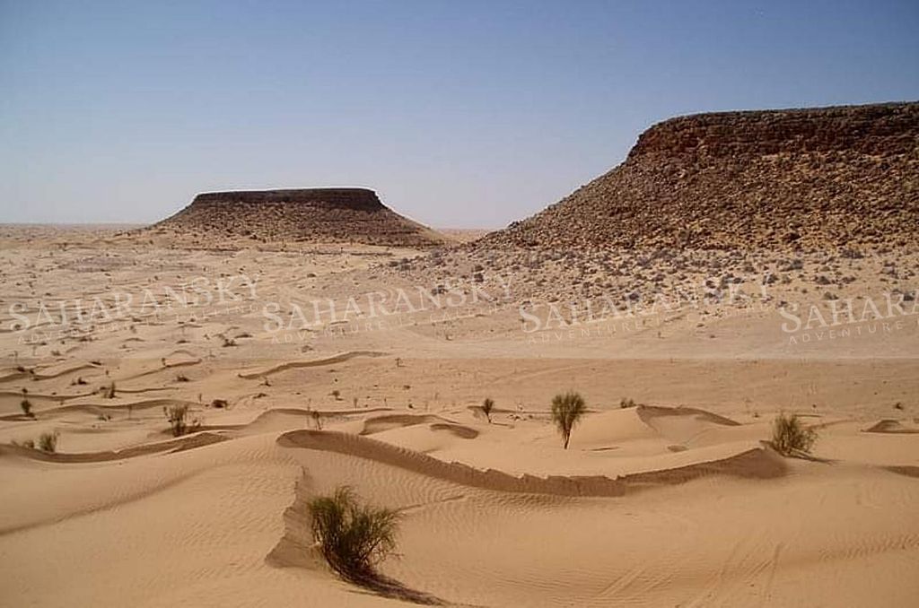 Von Tozeur aus: Private Wüstensafari in der Sahara mit Übernachtung