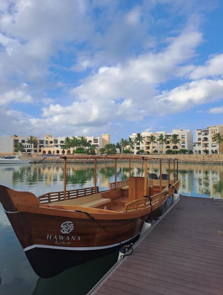 Salalah: Bootstour zur Delfinbeobachtung mit Erfrischungen