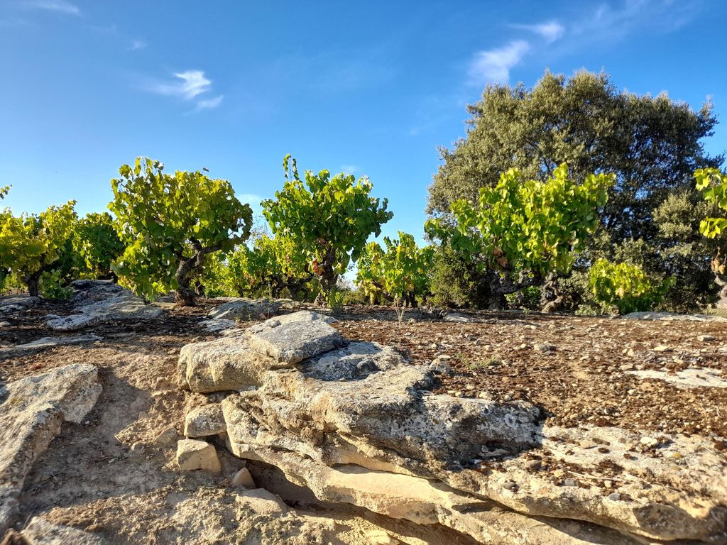 Verkostung HOPLITA und FREUNDE
