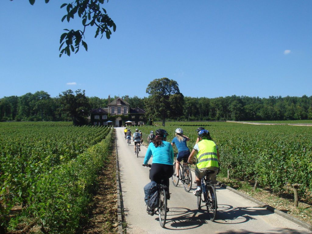 Von Beaune aus: Ganztagestour mit dem Fahrrad und Wein in Burgund