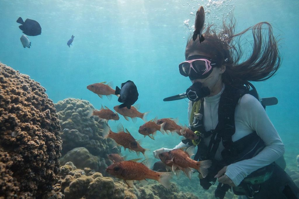 Honolulu: Anfänger-Tauchtour mit kostenlosen Videos