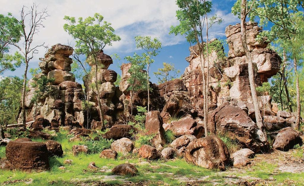 Litchfield 1 Tag Classic. Abenteuer abseits der Straße. Privat. VIP