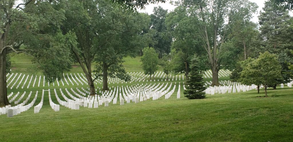 Arlington Cemetery: Private Tour für bis zu 10 Gäste