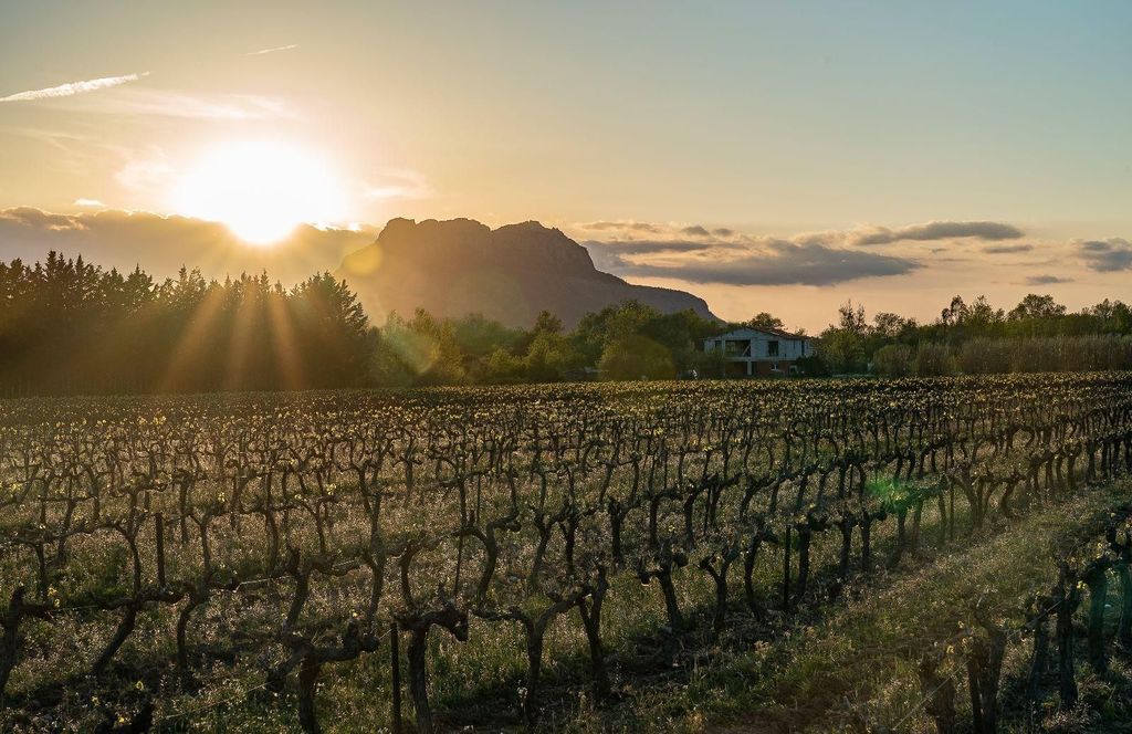 Fréjus: Führung durch den Weinkeller und Weinprobe