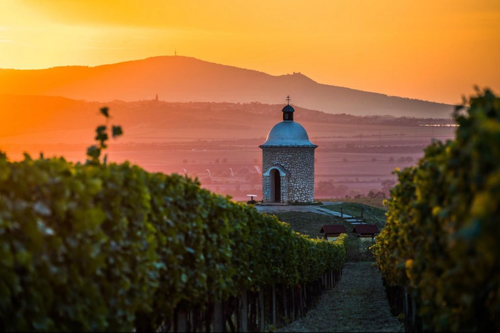 Ab Brünn: Private E-Bike-Tour durch die Mährische Toskana mit Weinprobe