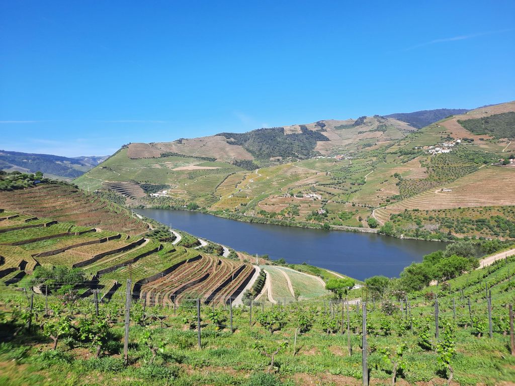 Von Porto: Geführte Tour in kleiner Gruppe durch das Douro-Tal und Gerês