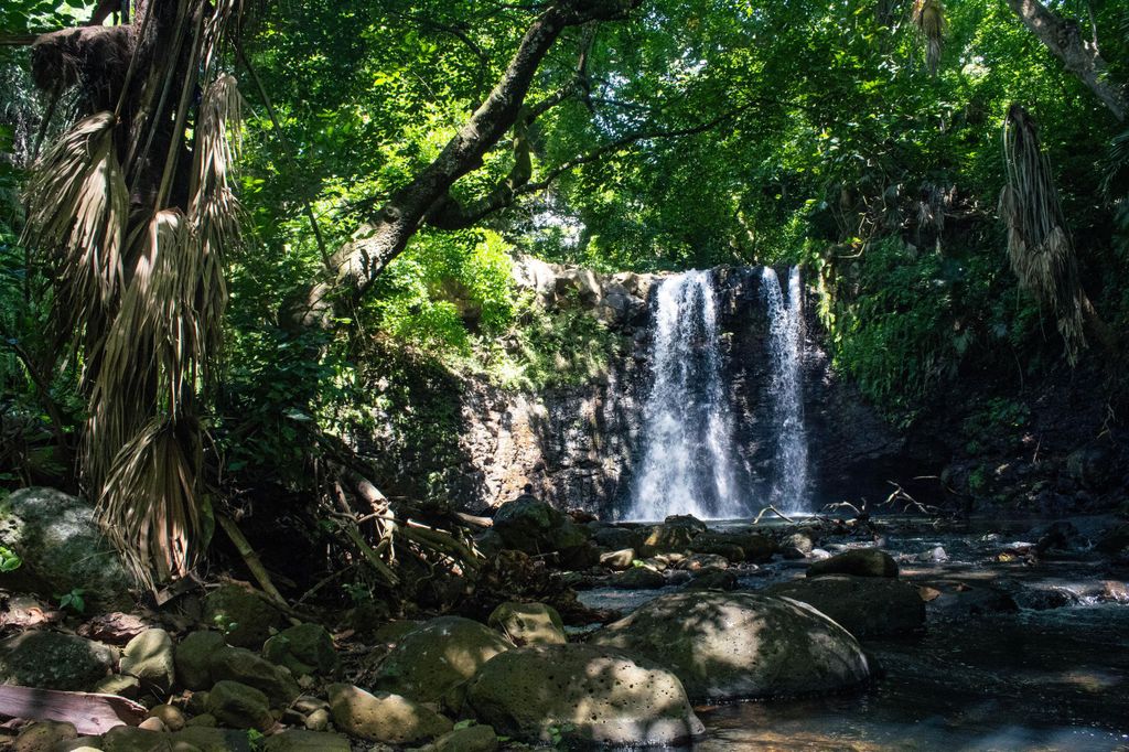 Mauritius Gris Gris: Geführte Küstenwanderung & Wasserfall-Wanderung