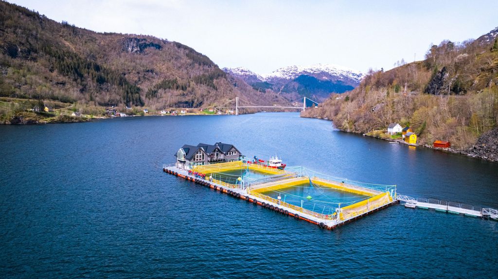 Hardangerfjord: Führung durch eine Lachsfarm