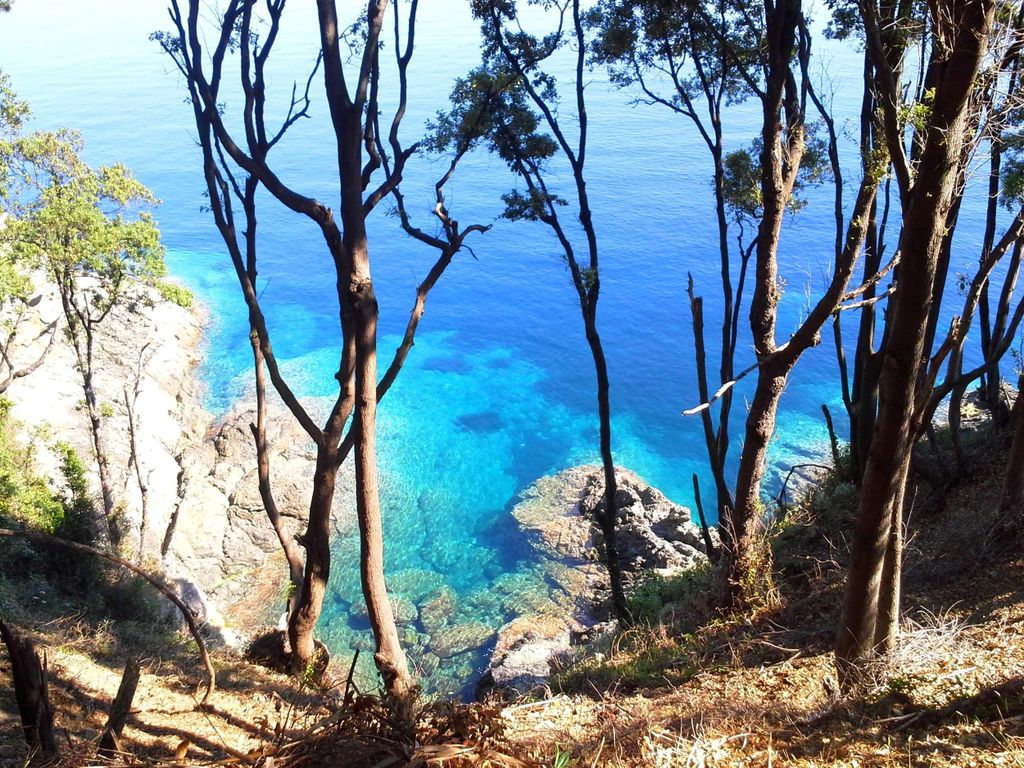 Procchio: Wandern und Schnorcheln. Einfacher Ausflug an Land und auf dem Meer