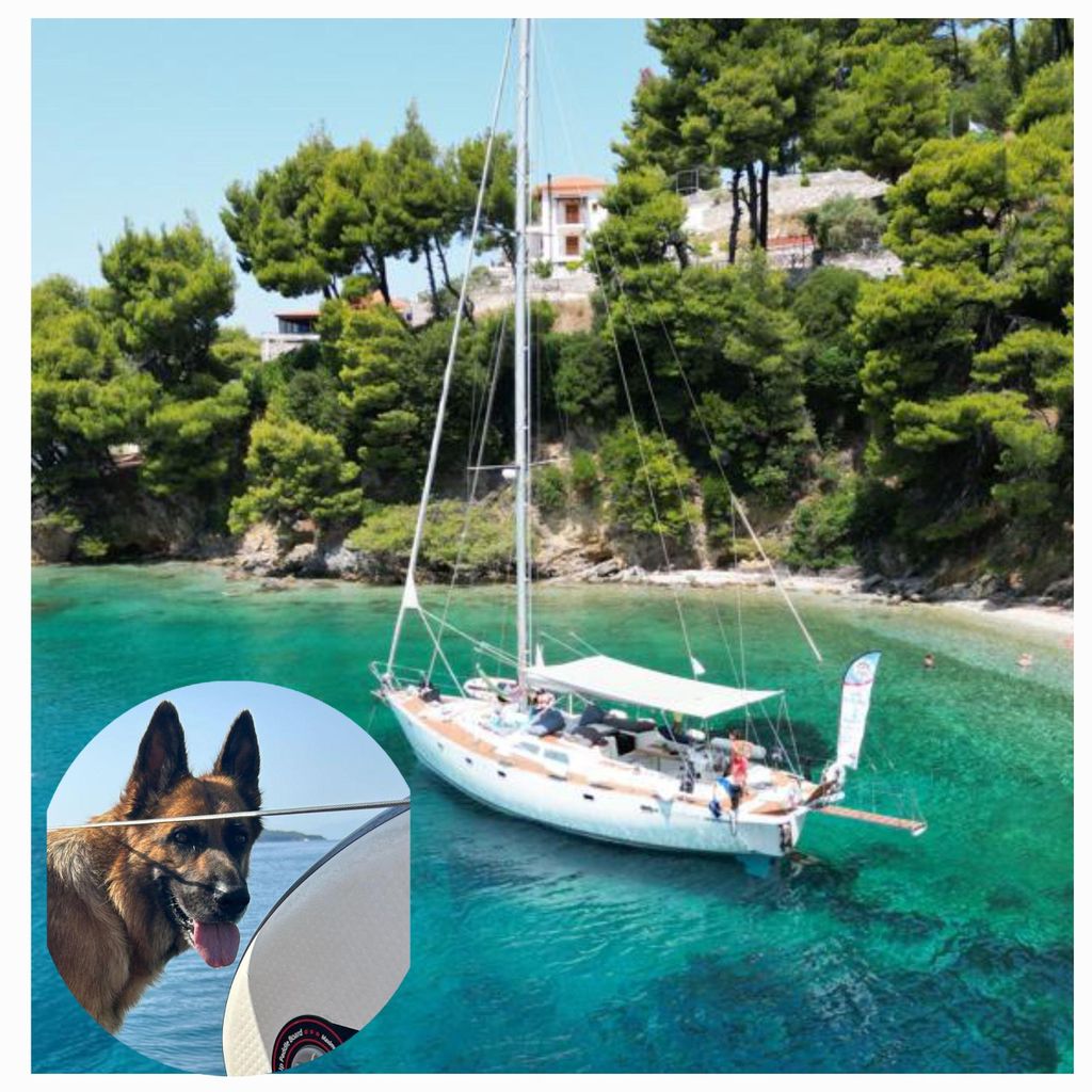 Skiathos: Tages-Segeltour mit Mittagessen an Bord
