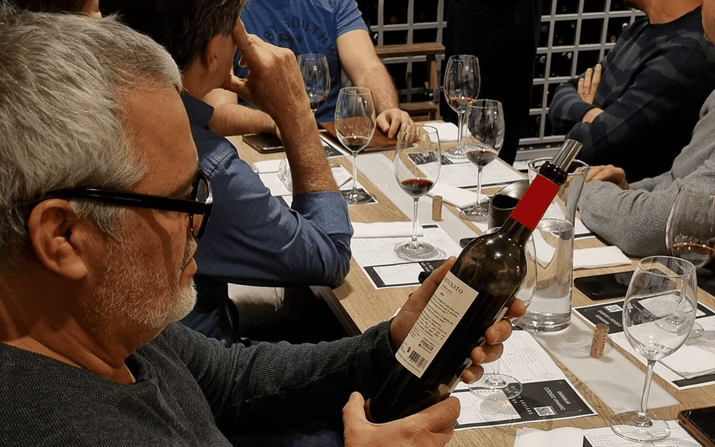 Mendoza: Premium-Weinprobe