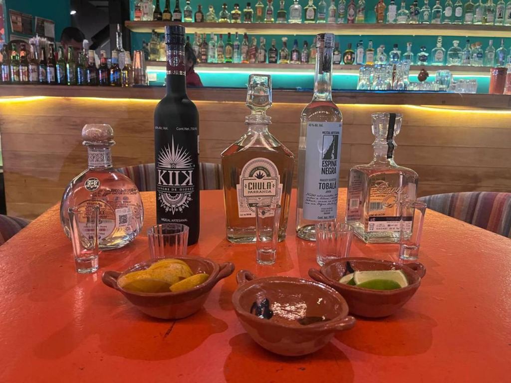 Mexiko-Stadt: Tequila und Mezcal Museum Tour mit Verkostung