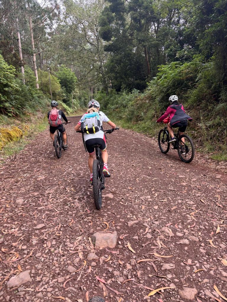 Madeira: Radabenteuer an der Nordküste
