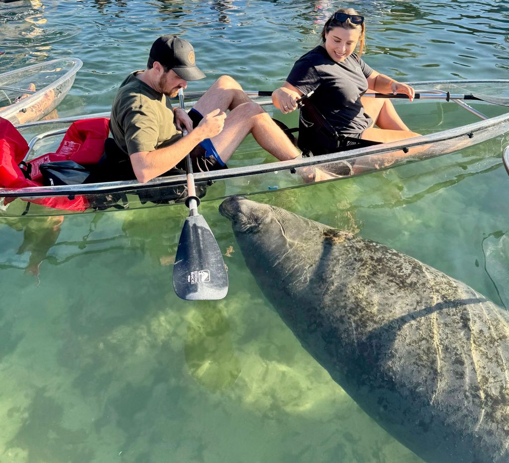Crystal River: Clear Kayak Manatee Tour mit kostenlosem Fotopaket