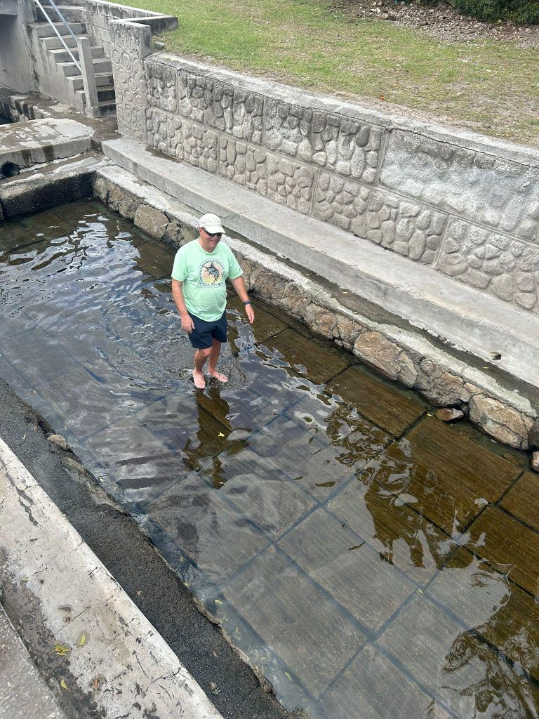 Nevis: Inseltour mit heißen Quellen und historische Tour