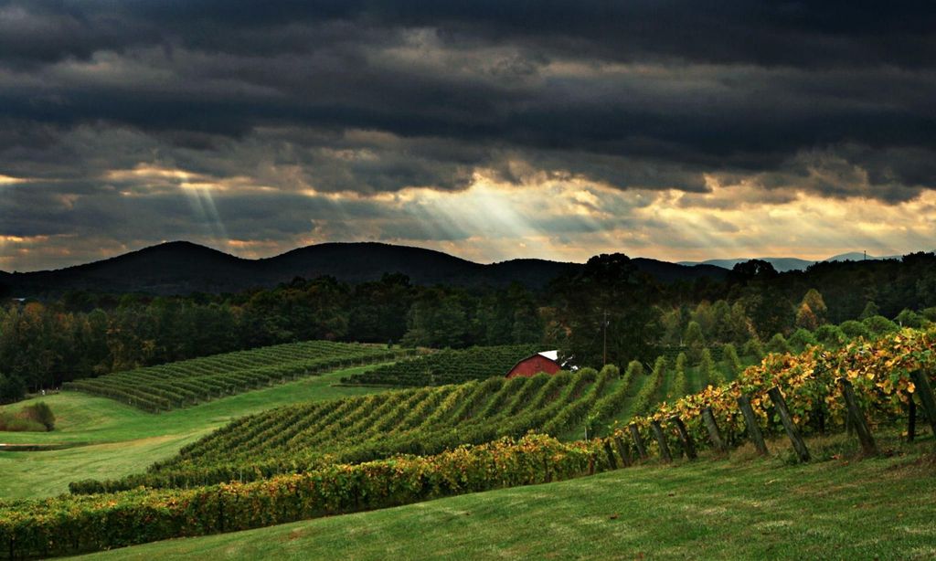 Von Atlanta aus: North Georgia Wine Country Tour