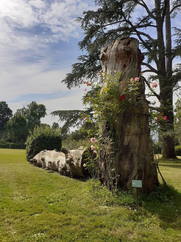 Führung durch den Park der Villa Reale di Marlia