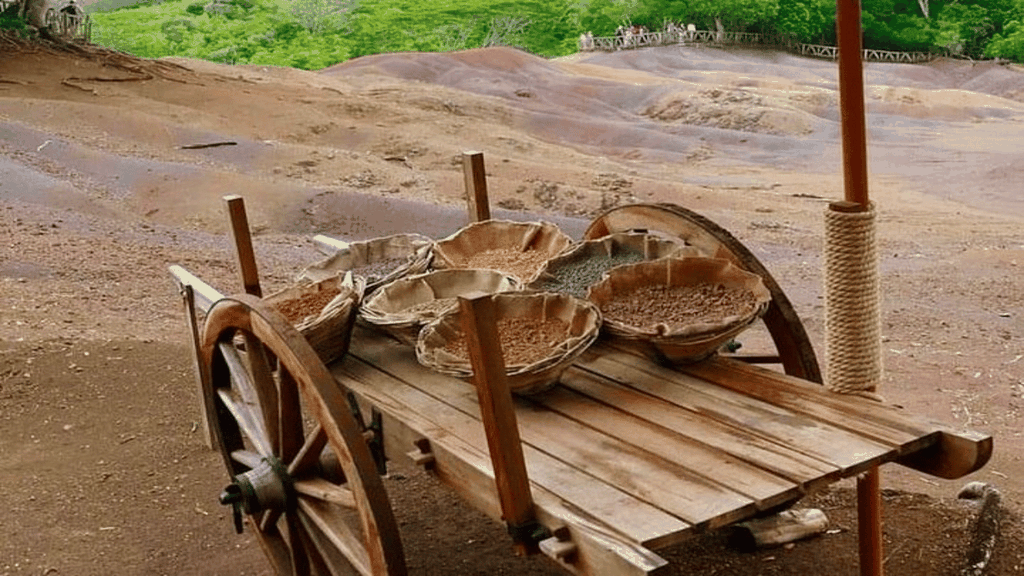 Mauritius: Chamarel 7 Farben & Wasserfälle, Südwest-Tour