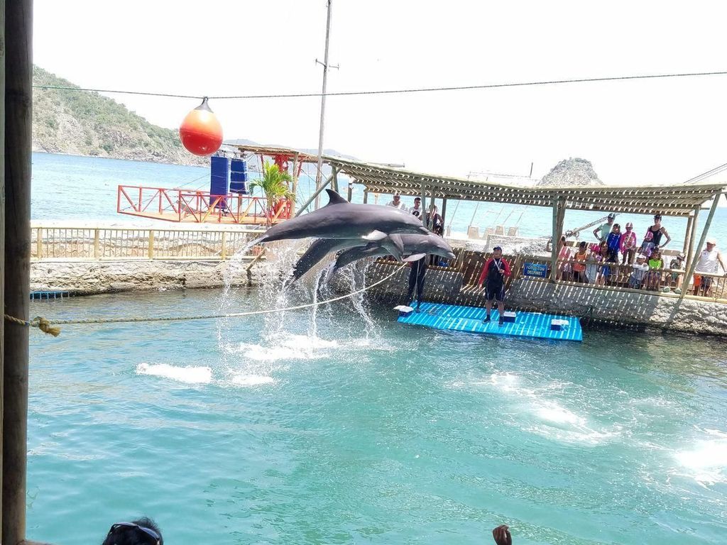 SANTAMARTA: TOUR Kombi-Angebot mit Taximarin, Aquarium, Mittagessen und weißem Strand