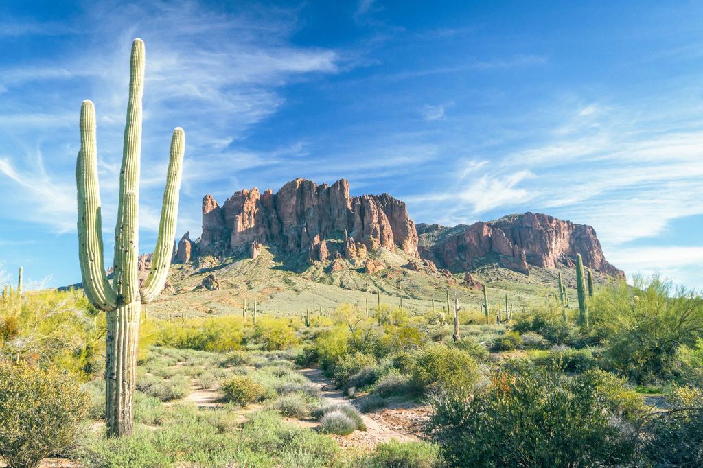 Phoenix/Scottsdale: Apache Trail Tour & Canyon Lake Cruise