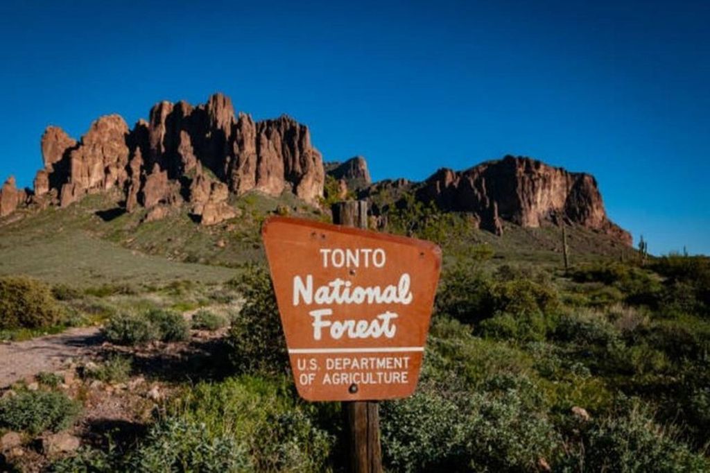 Von Phoenix: Private Offroad-Tour durch die Sonora-Wüste mit Sonnenuntergang