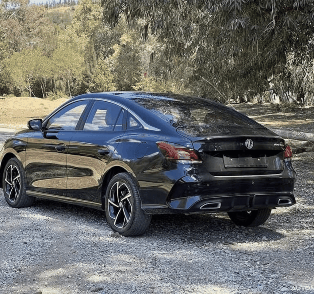 Privater Transfer vom Flughafen Tunis