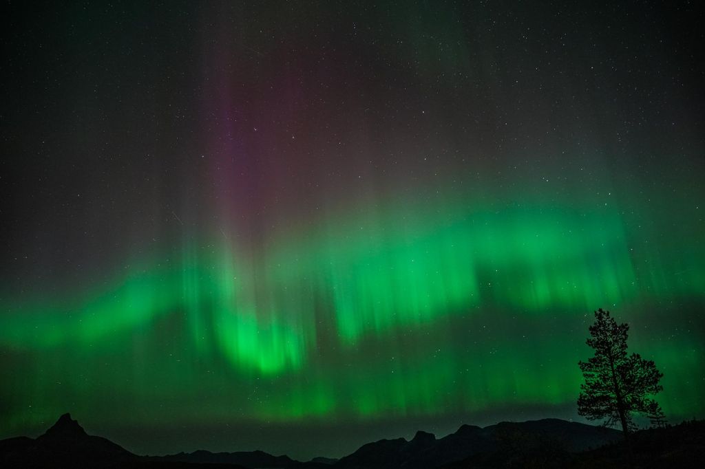 BODØ: Jagd nach den Nordlichtern mit Guide – Kleine Gruppe