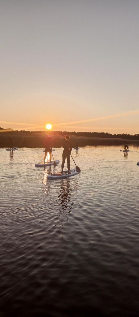 Prerow: Standup-Paddle-Sonnenuntergangstour mit Picknick