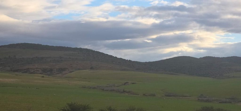 Abfahrt von Sousse oder Hammamet: Weinprobe - Uthina - Sidi Bou Saïd