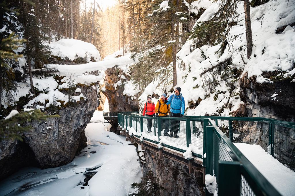 Banff: Morgens oder nachmittags Johnston Canyon Icewalk