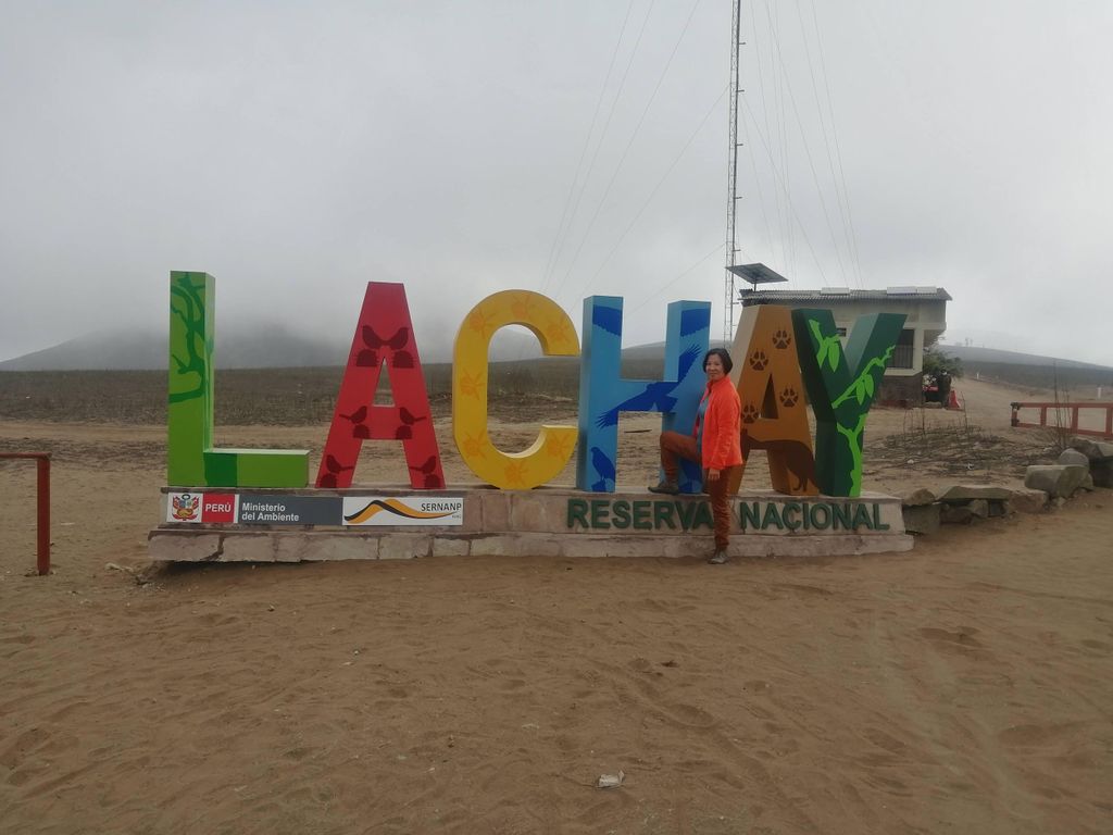 Wandern in den Lomas de Lachay in Lima