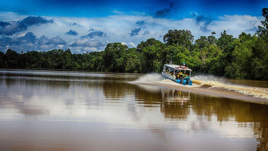 Kinabatangan Flussfahrt ab Sandakan mit Mittagessen inklusive