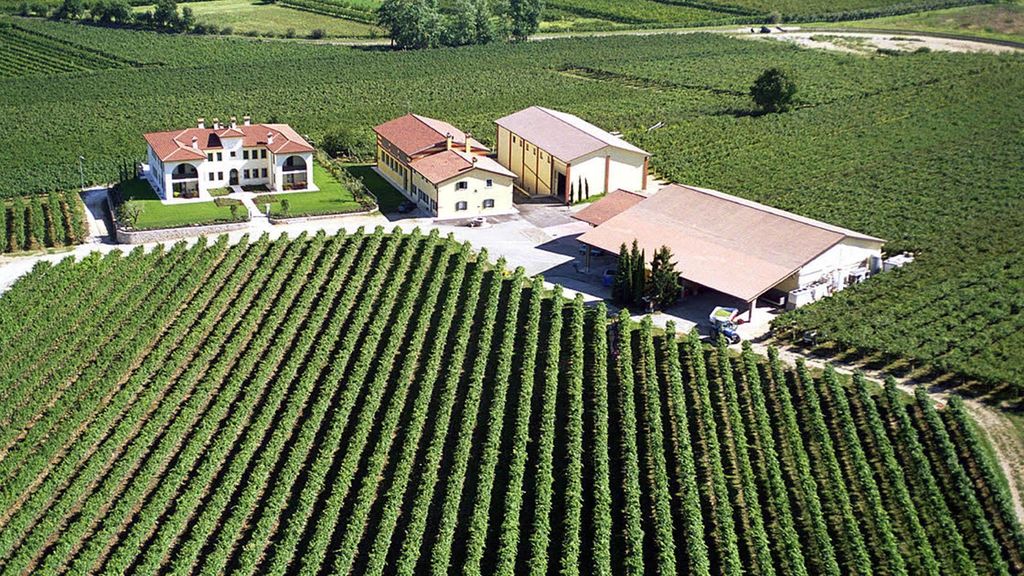 Showcase in den Hügeln des Gardasees: Wein- und Kunsterlebnis