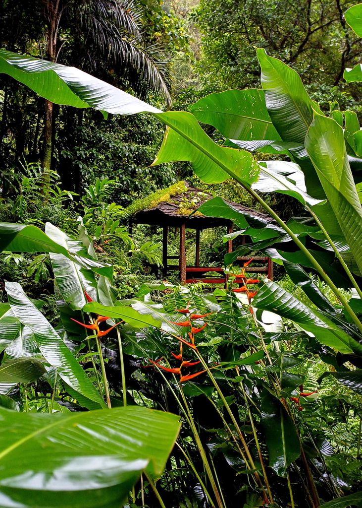 Tour zur Entdeckung des üppigen Nordens von Martinique, Vulkanwasserfälle