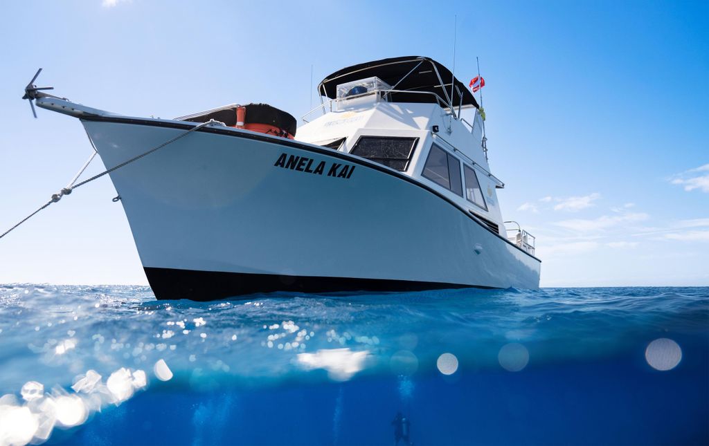 Kauai: 3-Tank Bootstauchgang für zertifizierte Taucher