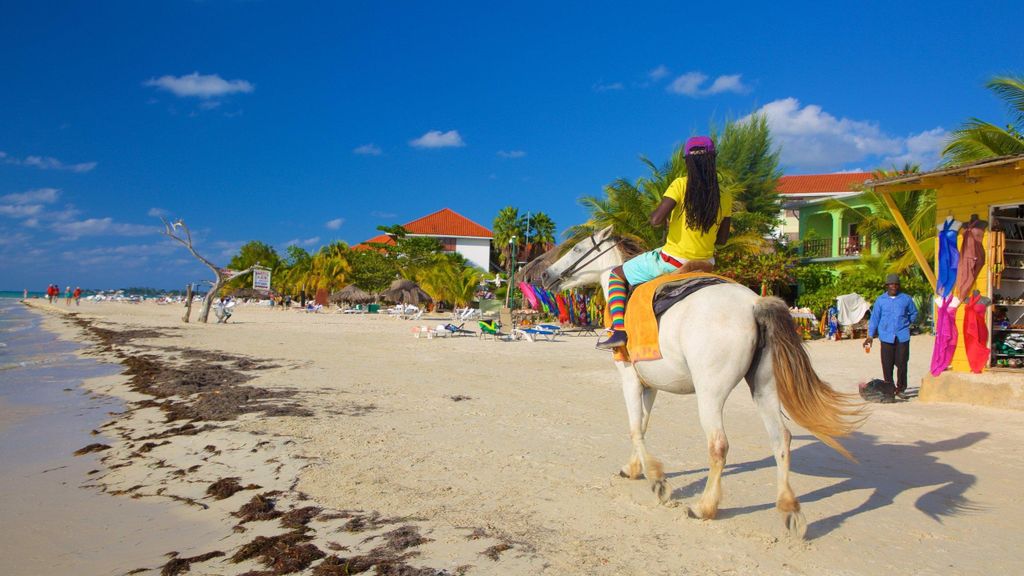 Ricks Café & 7 Mile Beach: Tagestour ab Montego Bay.