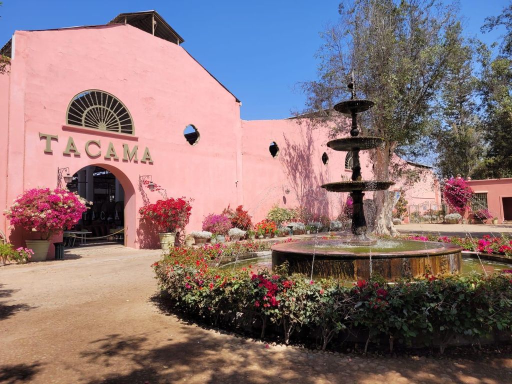 ICA: Pisco- und Weinroute mit Verkostung in 03 Weingütern