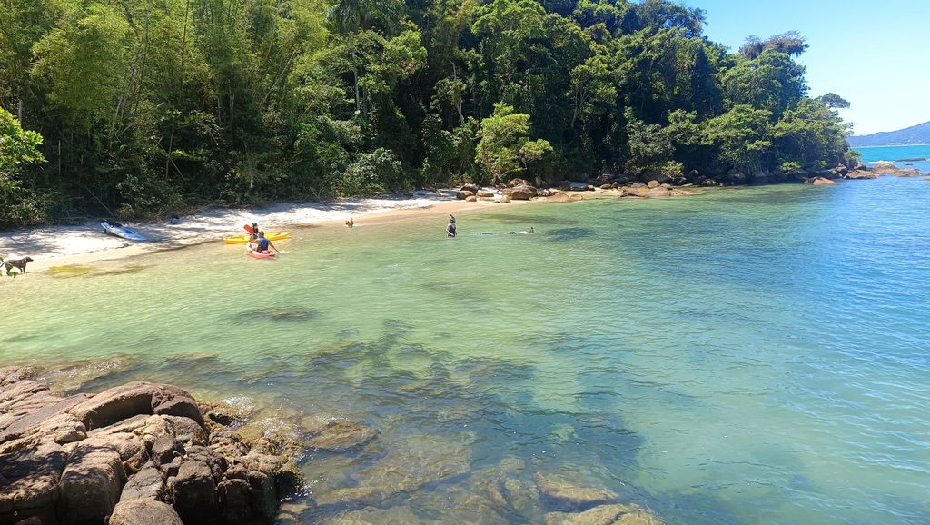 Ilha do Francês: Kajak- und Stand-up-Paddle-Tour + Schnorcheln in Florianópolis