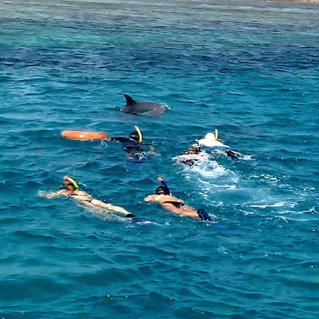 Wasini Island: Schnorcheln, Delfinbeobachtung und Mittagessen