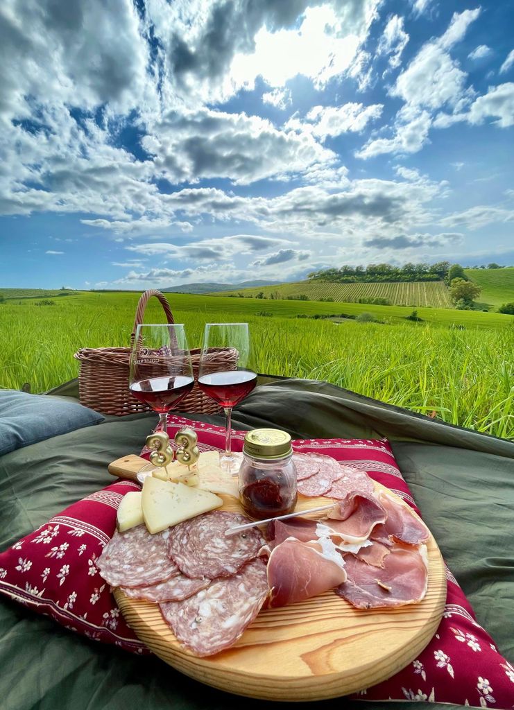 Picknick in den Bio-Weinbergen des Brunello